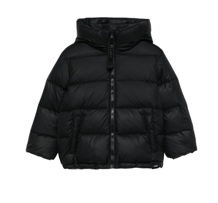 Aspesi down jacket online