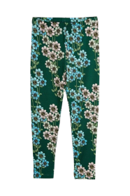 Diasys aop Leggings